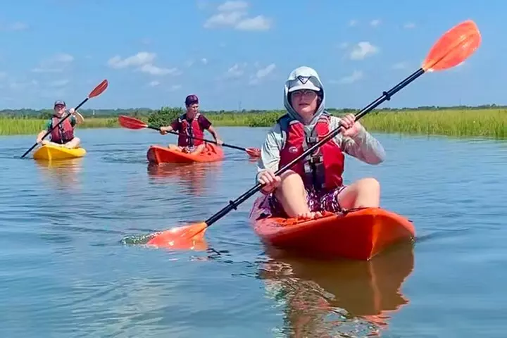 Guided Tour for Dolphin & Sea Turtle Observation in Saint Augustine...