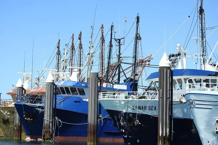 One Day Port Lincoln Tour - Tasting Eyre