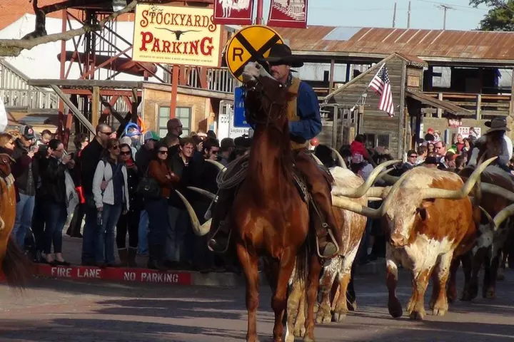 Dallas and Fort Worth City Sightseeing Tour Small-Group