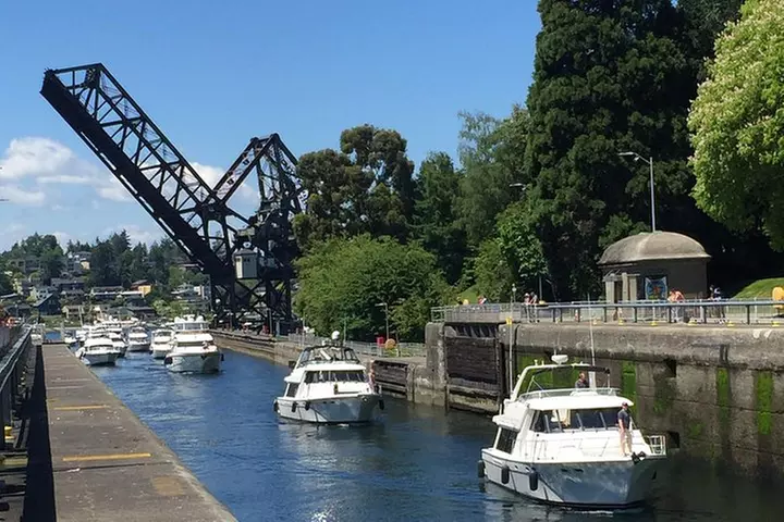 Seattle Ballard Locks, Gas Works Park and Houseboats Tour - Primary Image