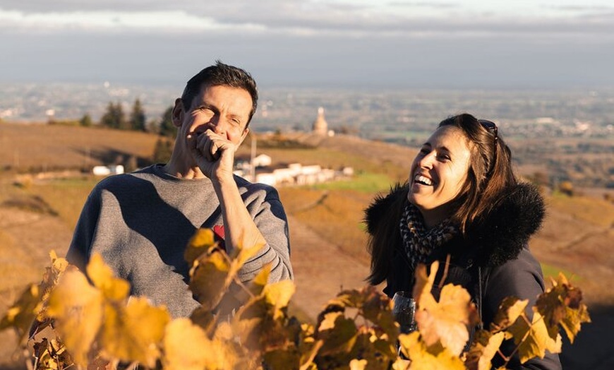 Image 4: Excursion privée d'une journée de vin d'hiver dans le Beaujolais et...