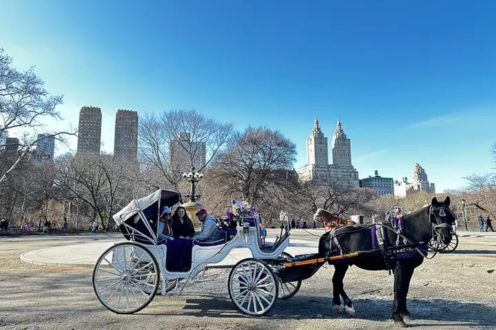 Luxury Horse and Carriage Tours in Central Park - Primary Image