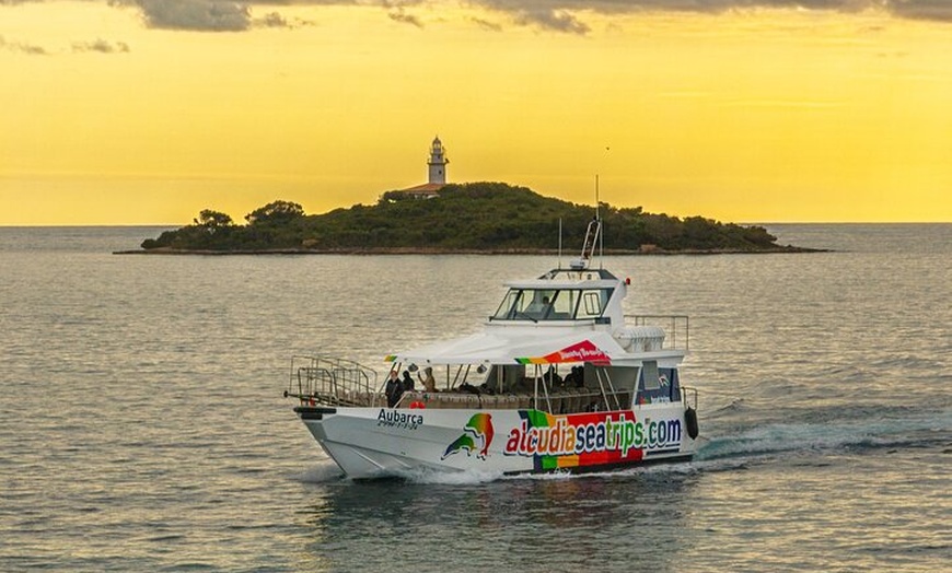 Image 6: Dolphin Adventure : Avistamiento de Delfines en Barco Rápido en Mal...