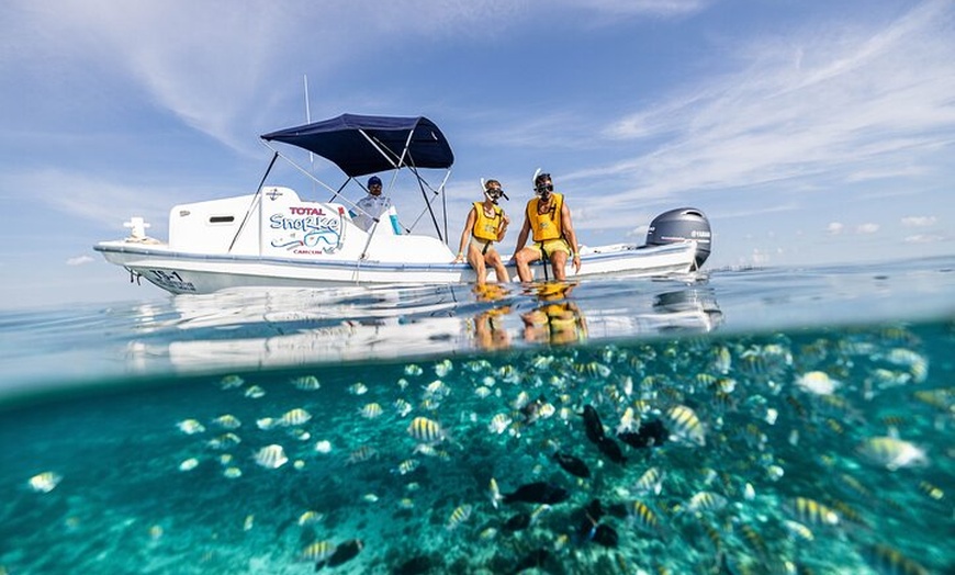 Image 6: 5-in-1 Cancun Adventure: Turtles, Reef, Musa, Shipwreck, Cenote