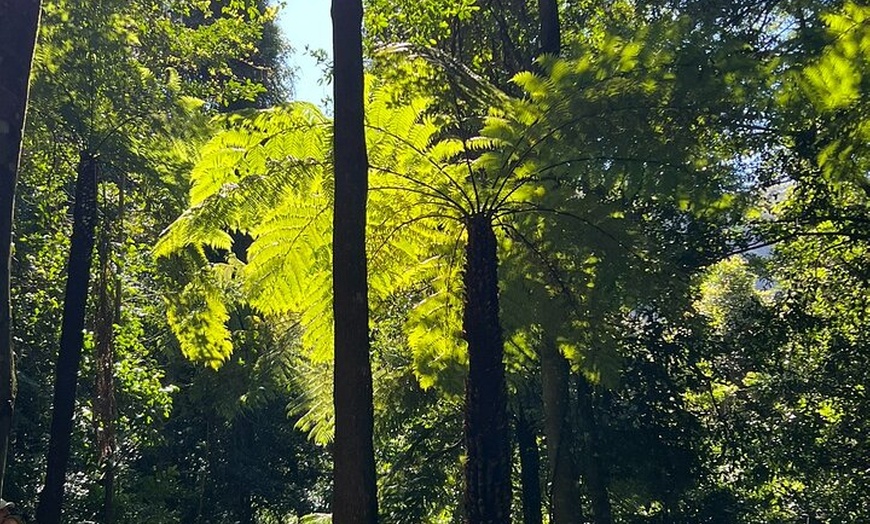 Image 15: Blue Mountains Main Attraction Private Daily Group Tours