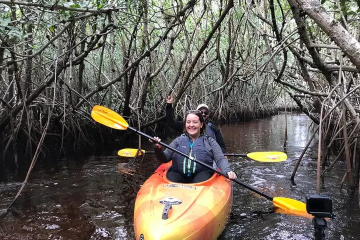 Manatees and Mangrove Tunnels Small Group Kayak Tour
