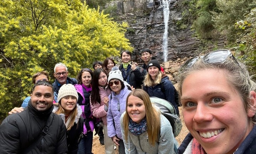 Image 5: Grampians National Park Small-Group Eco Tour from Melbourne