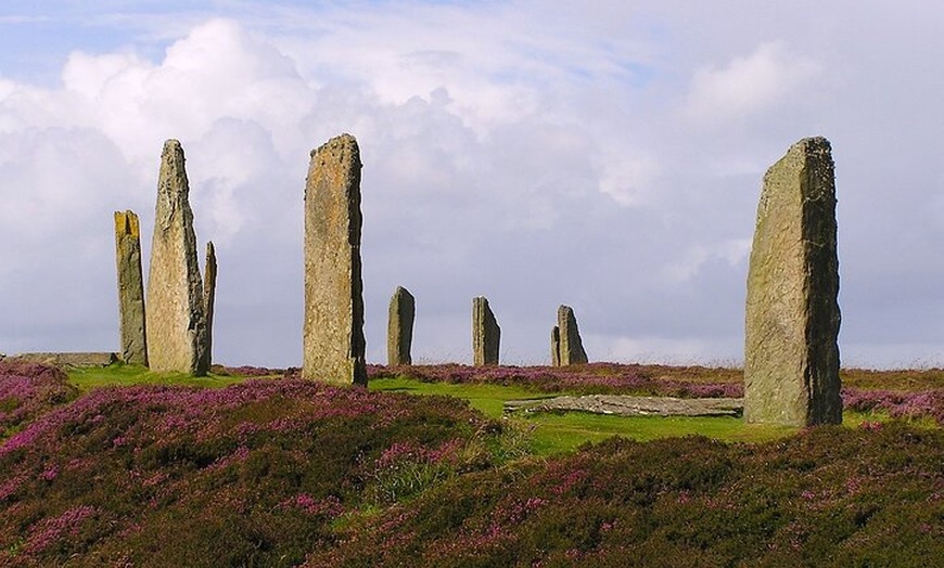 Image 2: Bespoke Private Guided Tours