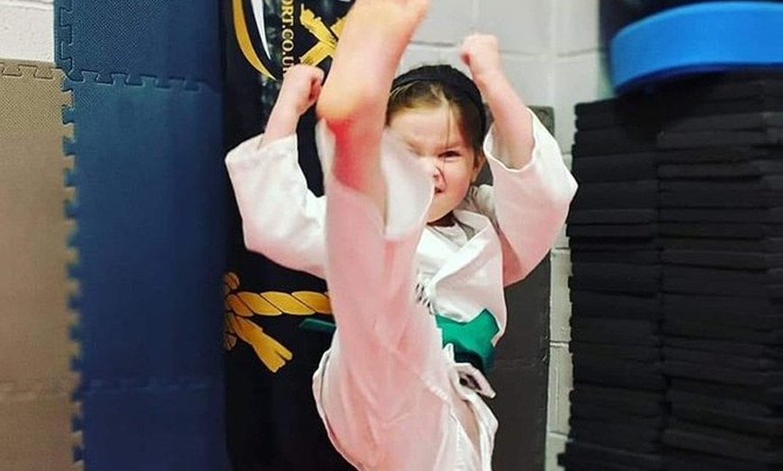 Image 1: Karate