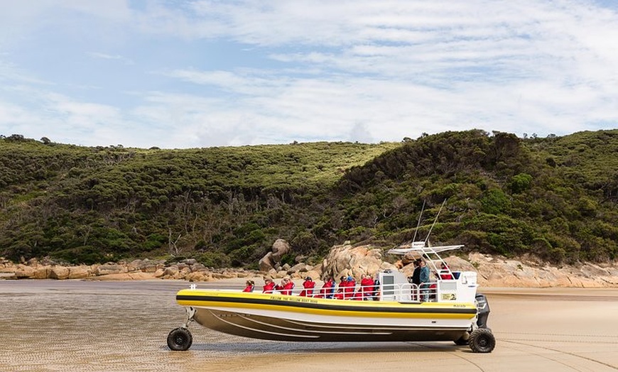 Image 3: Wilsons Promontory Wilderness Cruise from Tidal River