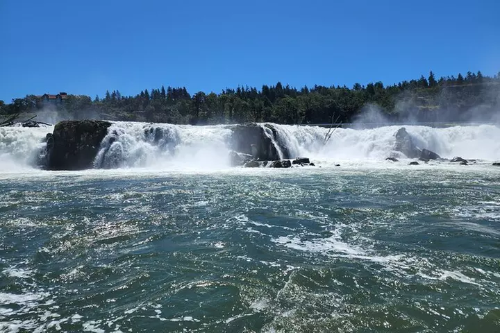 Scenic 2-Hour River Cruise to the Majestic Willamette Falls!