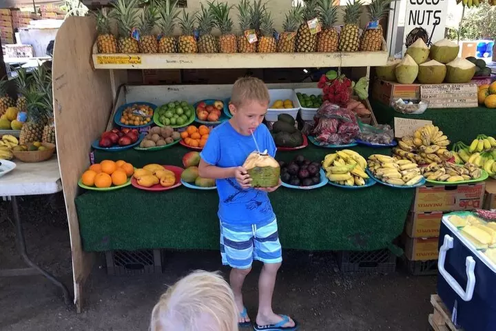 Oahu Circle Island: Snorkel with Turtles & Explore Turtle Beach