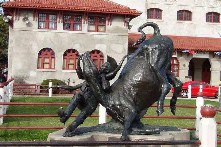 Dallas and Fort Worth City Sightseeing Tour Small-Group