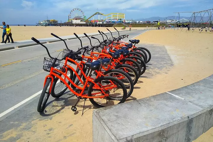 Venice Vibrations Public Bike Tour Experience