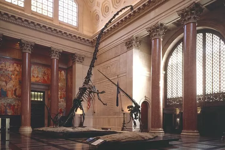 American Museum of Natural History Admission Ticket