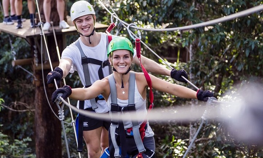 Image 3: Sunshine Coast Adventure Park TreeTop Challenge