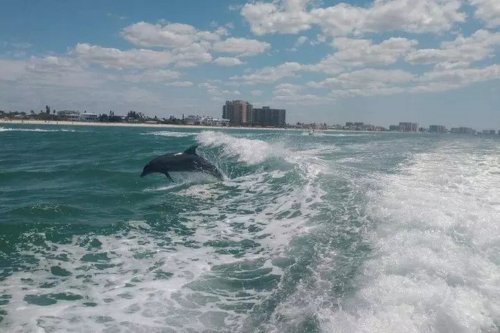 Sea Screamer Boat Cruise in Clearwater Beach with Transport