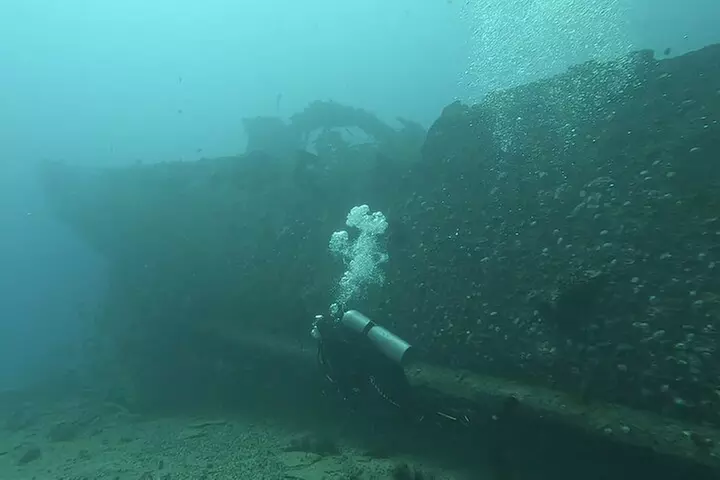 4 Hour Guided Scuba Diving Adventures in Waikiki