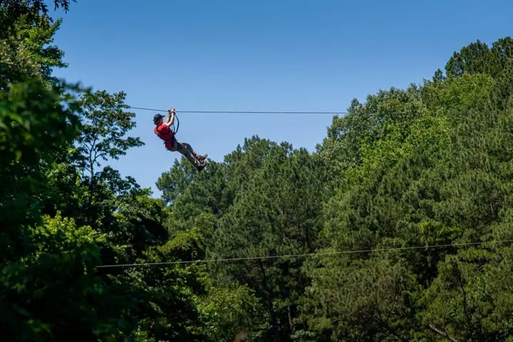 Ziplining and Climbing at The Adventure Park at Virginia Aquarium - Primary Image