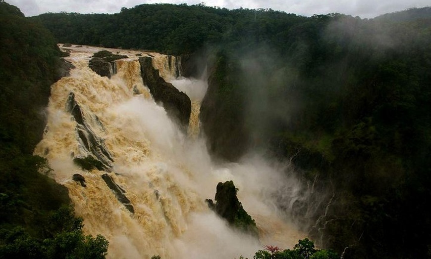 Image 5: 3-Day Best of Cairns Combo: The Daintree Rainforest, Great Barrier ...