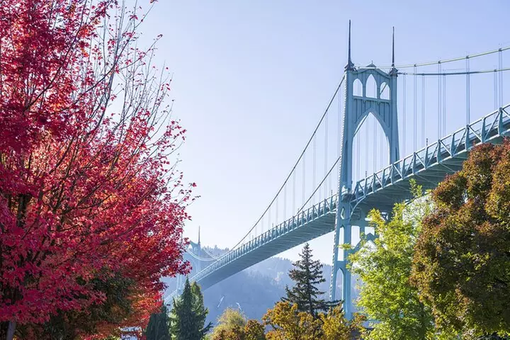 Portland City Tour: Views and News (Our Best Selling Tour!)