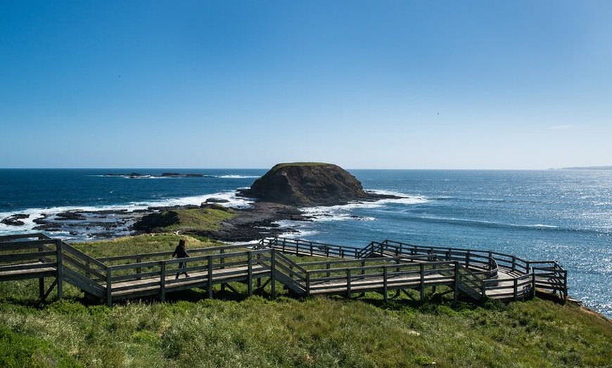 Image 6: Full-Day Phillip Island Tour with Kangaroo, Koala and Penguin Parade