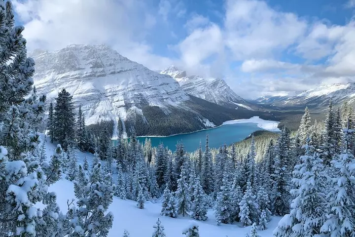 Private Tour for up to 24 guests of Lake Louise and the Icefield Parkway - Primary Image