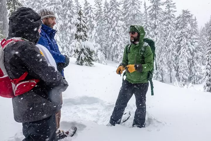 Guided Snowshoe Tour in Bend, Oregon