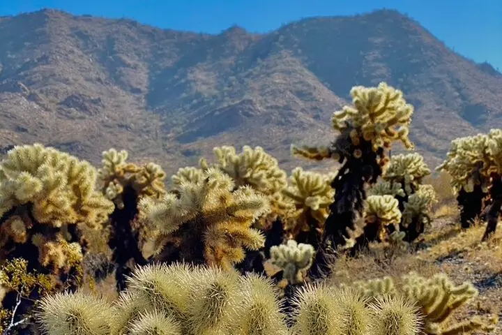 Amazing 2-Hour Guided Hiking Adventure in Phoenix, Arizona