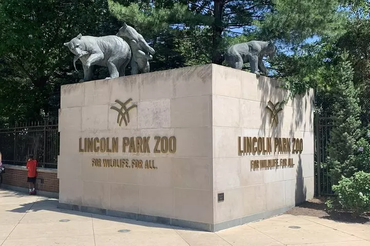 Lincoln Park Zoo Adventure