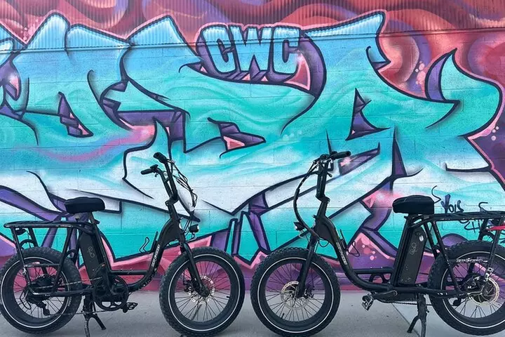Electric Bike Rentals with Free E-Bike Delivery