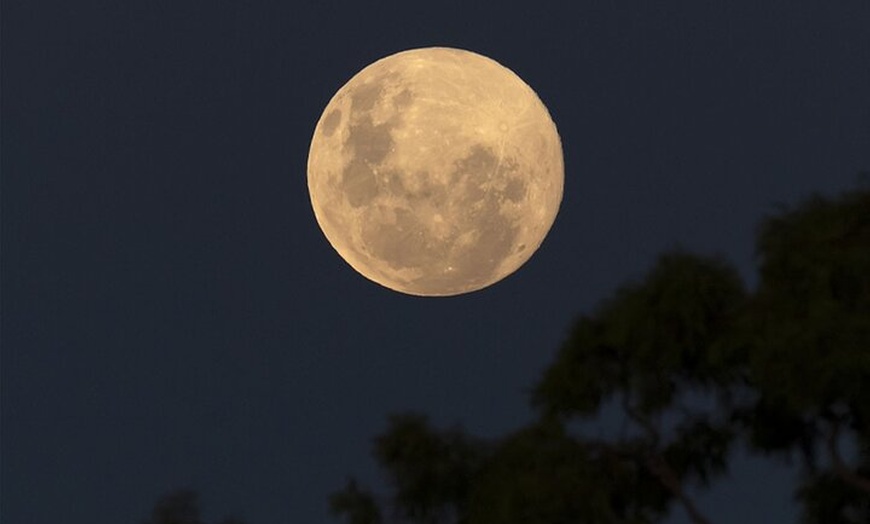 Image 3: 3 Hour Tour in Gondwana Stars Observatory