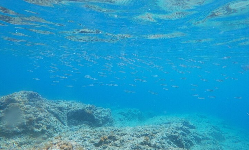 Image 10: Excursión Kayak + Snorkel - Costa Brava "Ruta de Las Cuevas"