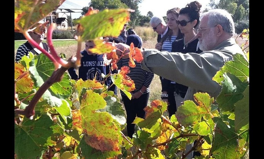 Image 16: Barossa Valley Inc Maggie Beers & Hahndorf (German Village)