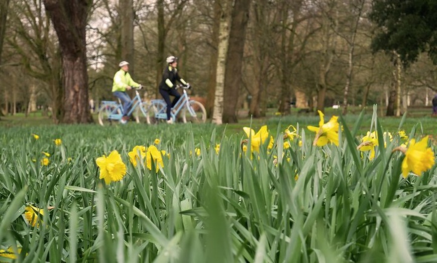 Image 5: Guided Cycle Tours of Cardiff