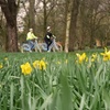 Image 5: Guided Cycle Tours of Cardiff