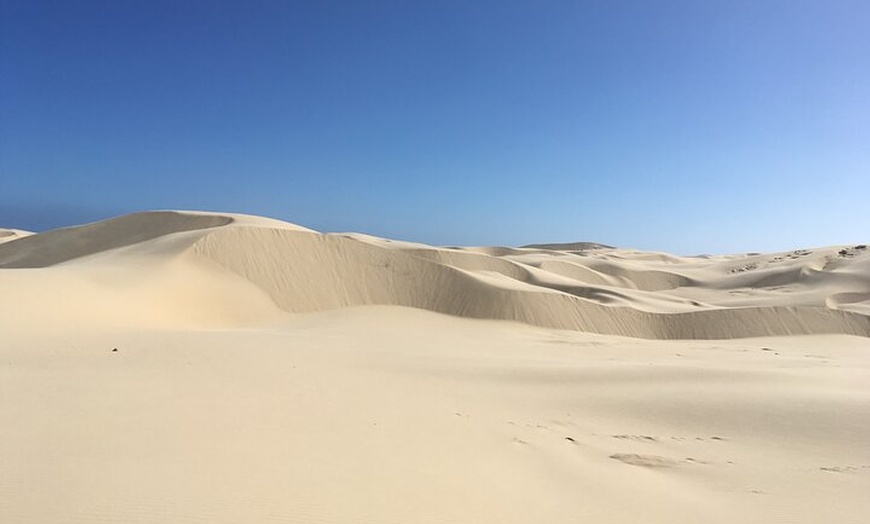 Image 14: Port Stephens Unlimited Sandboarding and Sand Surfing