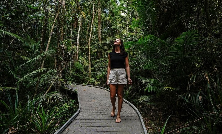 Image 4: Daintree, Cape Tribulation & River Cruise from Port Douglas