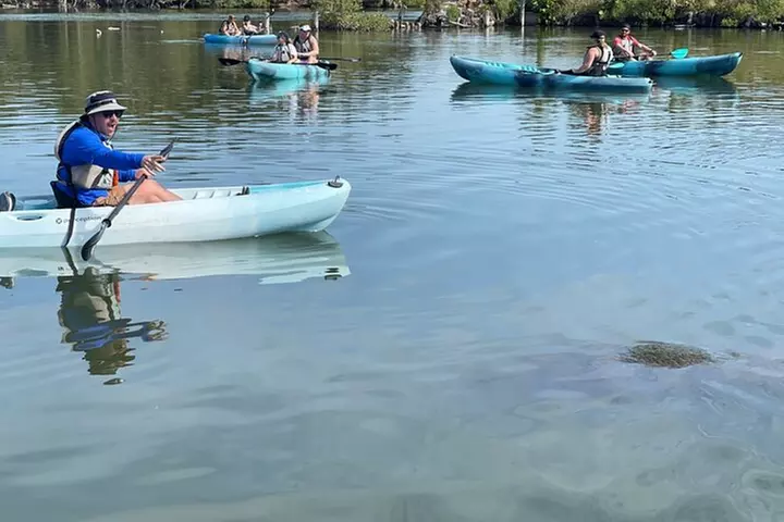 Wildlife Refuge Manatee, Dolphin & Mangrove Kayak or Paddleboarding...