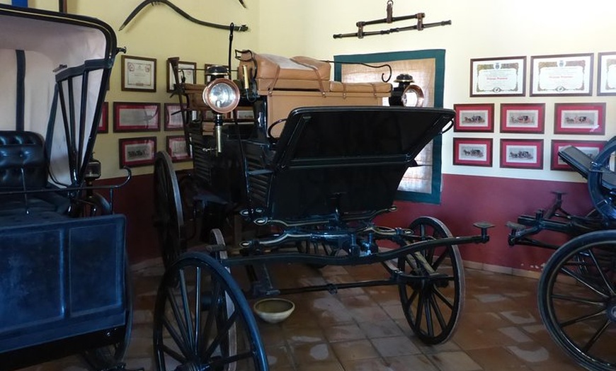 Image 7: Espectaculo Ecuestre y Bodega en Jerez desde Sevilla