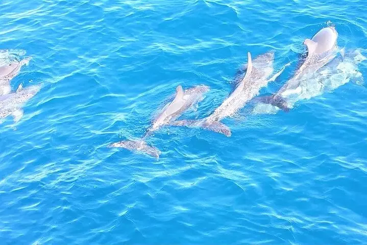 4-Hour Fort Lauderdale Sailing Charter