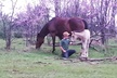 Farm Adventure Experience in Red Hill Ranch - Second Medium