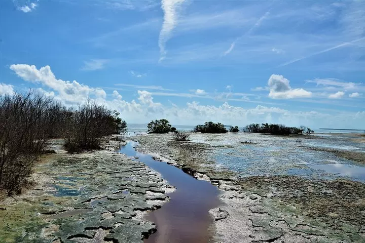 Everglades National Park: Self Guided Driving Audio Tour