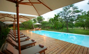 ✈ Kruger National Park - Kapa...