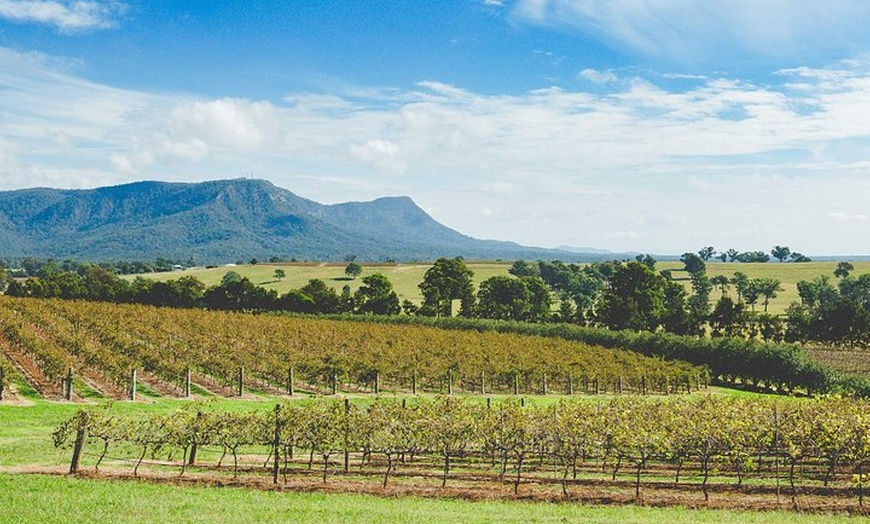 Image 10: Award-Winning Hunter Valley Wine & Cheese Tour from Sydney