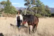 Wild Mustang Experience Near Colorado Springs - Second Medium
