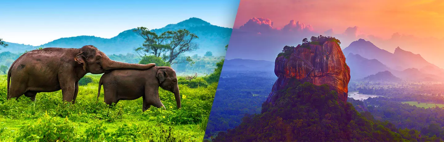 ✈ SRI LANKA | Colombo - Le meilleur du Sri Lanka 3*, 7 nuit - Circuit - Primary Image