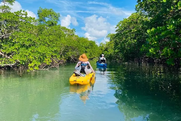 Deluxe Kayak Tour Marco Island and Naples, Florida
