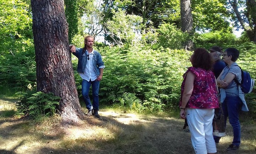 Image 4: Balade nature à la découverte de Bréhat