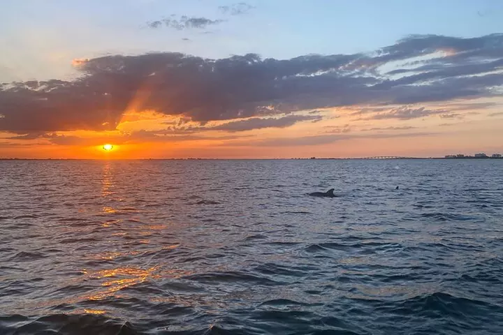 Sunset and Dolphin Cruise around Fort Myers Beach - Primary Image